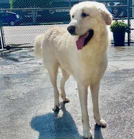 Photo of Brody