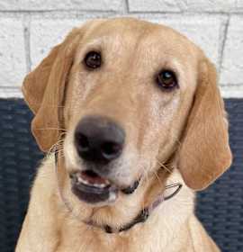 Photo of Adorable Ellie