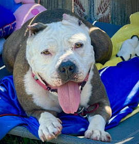 Photo of Adorable Betty