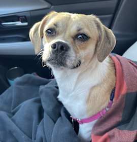 Photo of Winifred