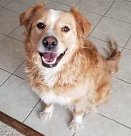 Photo of Zoey A