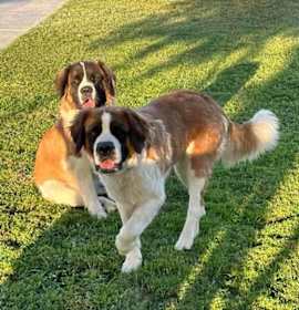Photo of Lily & Maggie