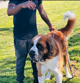 Photo of Sully