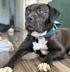 Photo of Oona