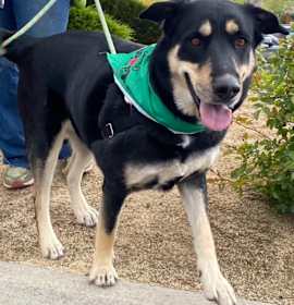 Photo of Beverly Cleary