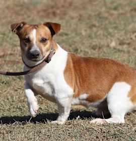 Photo of Burt A