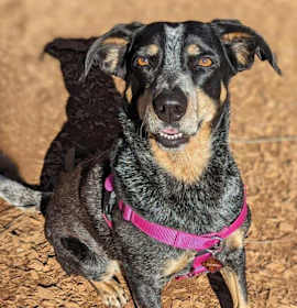 Photo of Doris