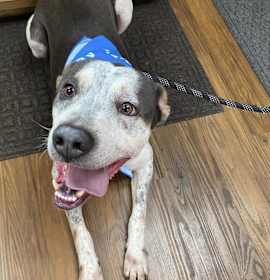 Ronald      (Ronnie) photo 1