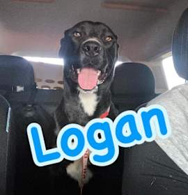 Photo of Logan