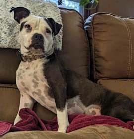 Photo of Grace (Stacey)