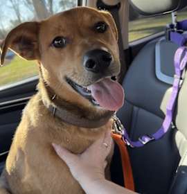 Photo of River Revere- Crosby, TN