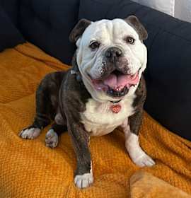 Photo of Bruce