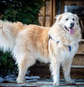Photo of Wally