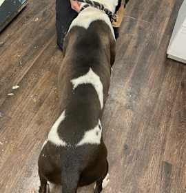 Mr. Maverick photo 4