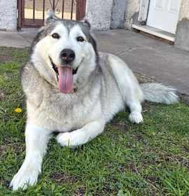 Photo of Yuki