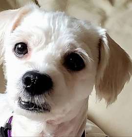 Photo of Ernie