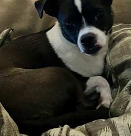 Photo of TESS
