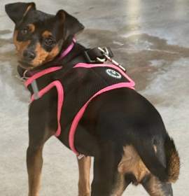 Photo of Phoebe aka Twixx