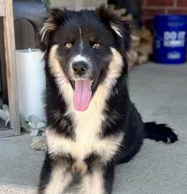 Photo of JETT