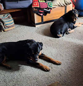 Photo of Henry and Raaz