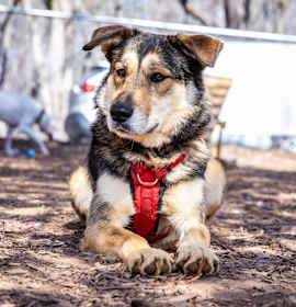 Photo of Kiara