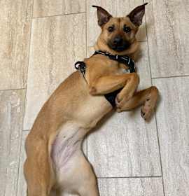 Photo of Kash