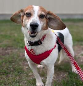 Photo of Wallace