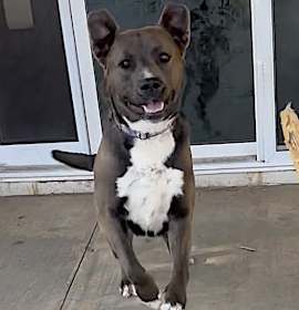 Photo of Whiskey