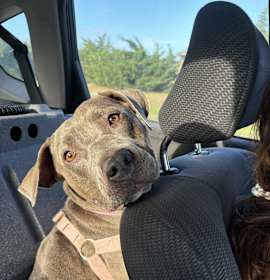 Photo of Luna