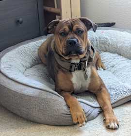 Photo of Slinky