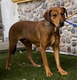 Photo of EMBER & BAILEY