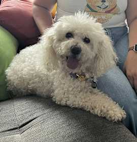 Photo of Sandy