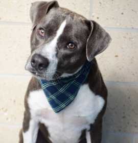 Photo of 25-206D FRANKLIN