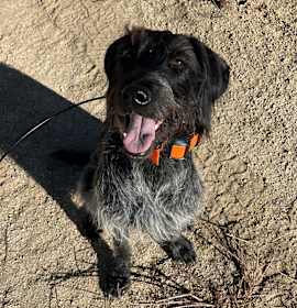 Photo of Cinder