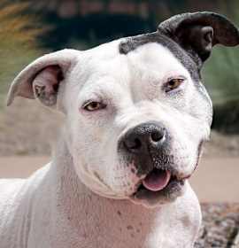 Charming Ms Cally photo 1