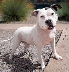 Charming Ms Cally photo 2