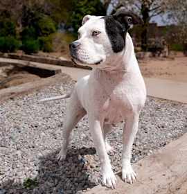 Charming Ms Cally photo 3