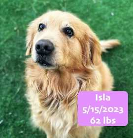 Photo of Isla
