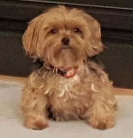 Photo of Chloe