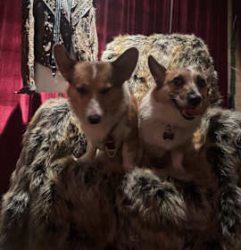 Photo of Ricky and Belle