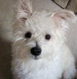 Photo of Mishi