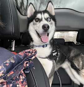 Photo of Cole
