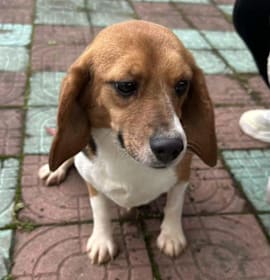 Photo of Ebby
