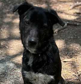 Photo of Montana - GA