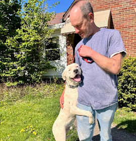 Baldo (foster) photo 3