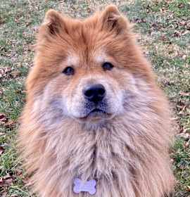 Photo of Muffy