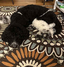 Photo of Zero