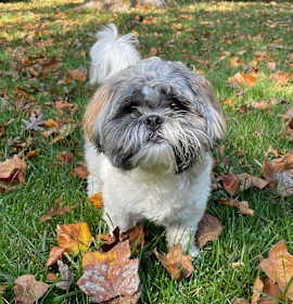Photo of Zeus