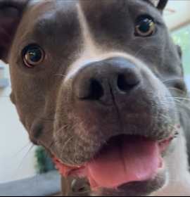 Photo of Ella