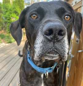 Photo of Jethro